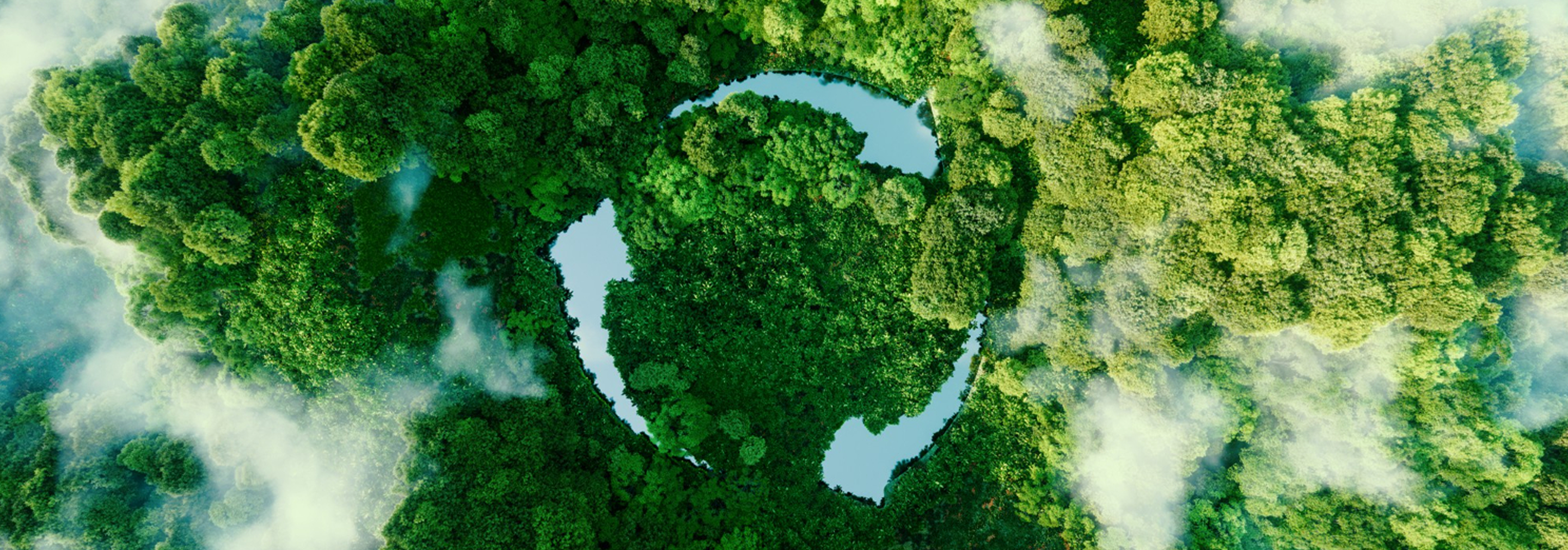 Sustainability Image