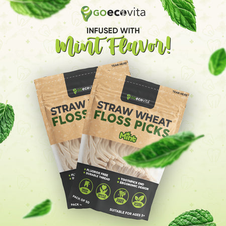 Straw Wheat Dental Floss Picks